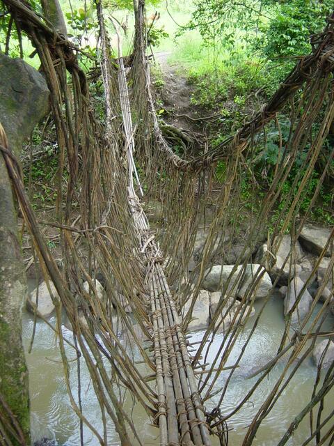 Hanging bridge
