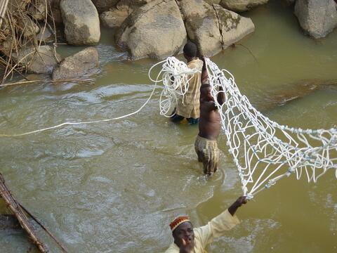 Hanging bridge