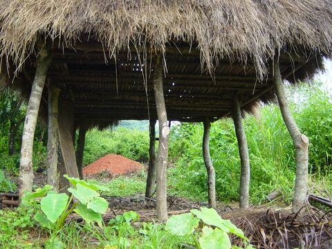 Local houses