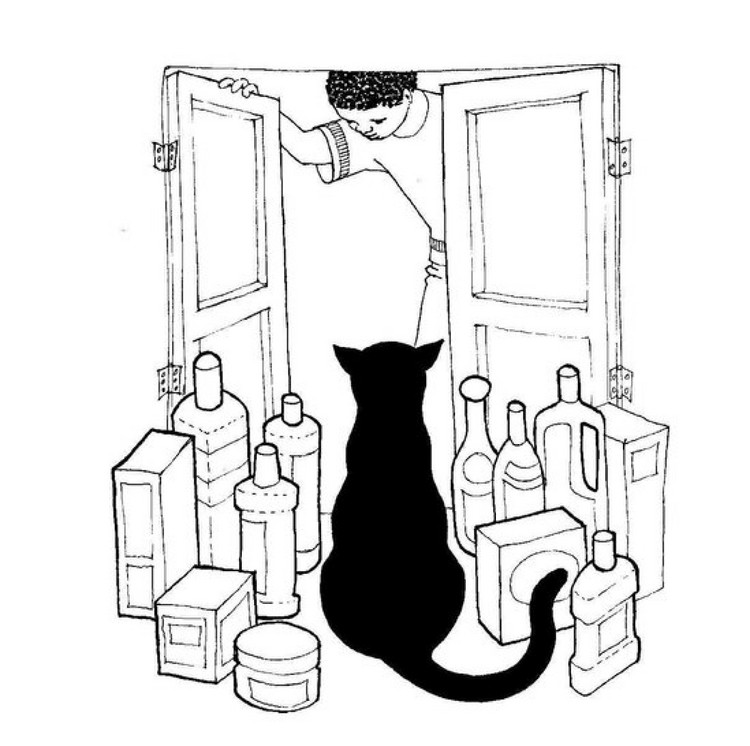 Where is my cat?